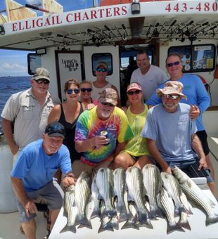 Chesapeake Bay Striper MD